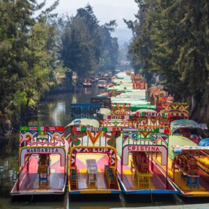 Floating Gardens in Xochimilco and Coyoacan